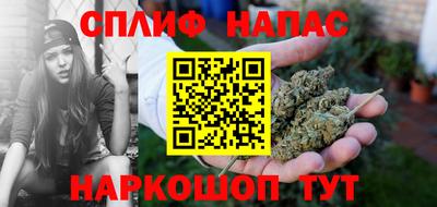 дмт Камышлов
