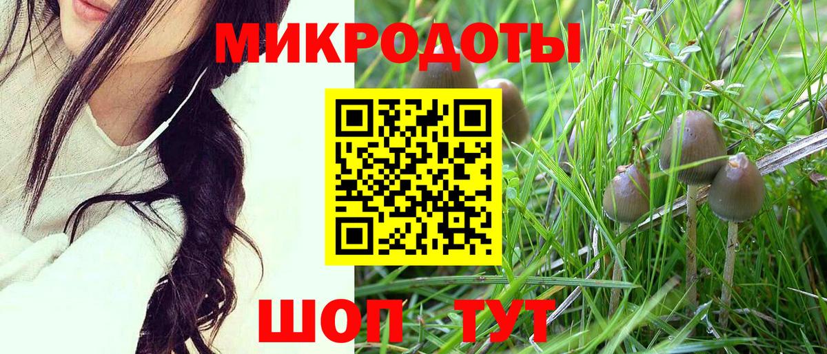 Луховицы  Галлюциногенные грибы GOLDEN TEACHER  Вход с VPN  Псилоцибиновые грибы Psilocybine cubensis 